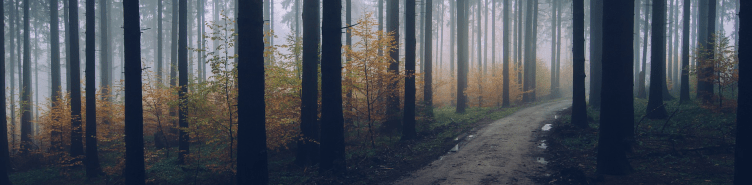 Creativity, resilience and how to navigate through 2021 &&nbsp;beyond